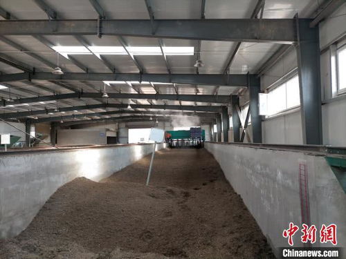 山西太原 園林垃圾資源化再利用，綠廢“變身”科創(chuàng)產(chǎn)品